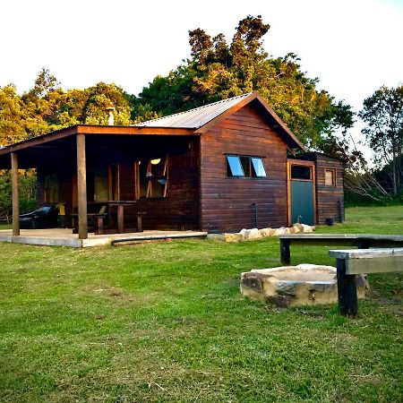 Pura Vida Forest Cabin Witelsbos Extérieur photo