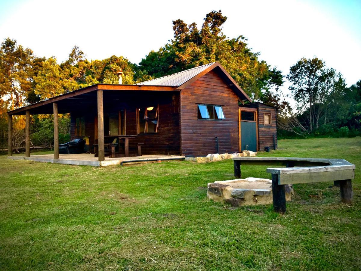 Pura Vida Forest Cabin Witelsbos Extérieur photo